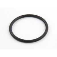 uplotnitelnoe-kolco-hayward-sx0360z1_1