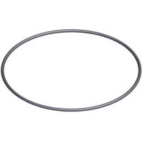 uplotnitelnoe-kolco-pod-kryshku-6-ti-poz-ventilja-2-hayward-spx0715z1
